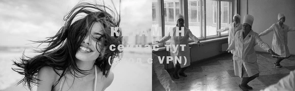 ГАЛЛЮЦИНОГЕННЫЕ ГРИБЫ Киренск