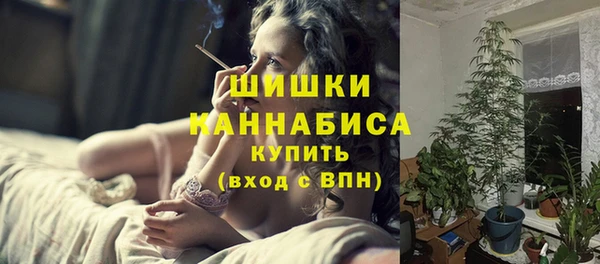 ГАЛЛЮЦИНОГЕННЫЕ ГРИБЫ Киренск