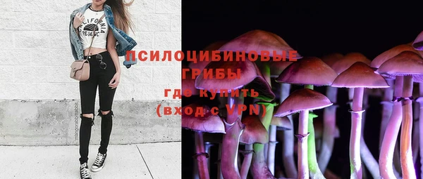 ГАЛЛЮЦИНОГЕННЫЕ ГРИБЫ Киренск