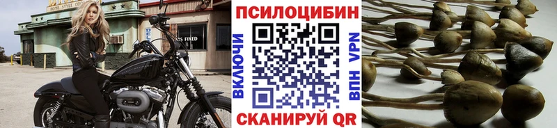 Псилоцибиновые грибы Psilocybine cubensis  Александровское 