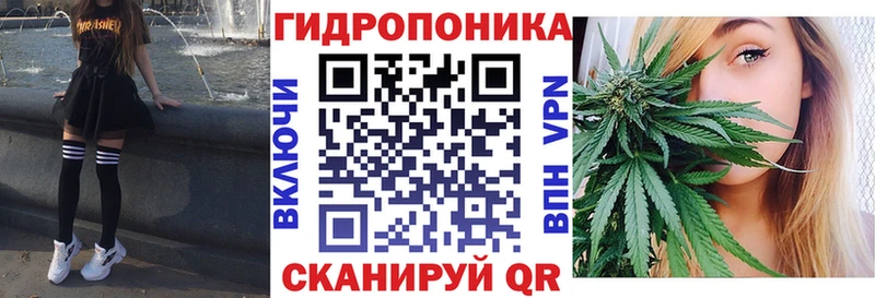 площадка состав Александровское Шишки марихуана тримм
